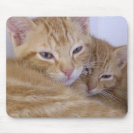 オレンジ子ネコ マウスパッド