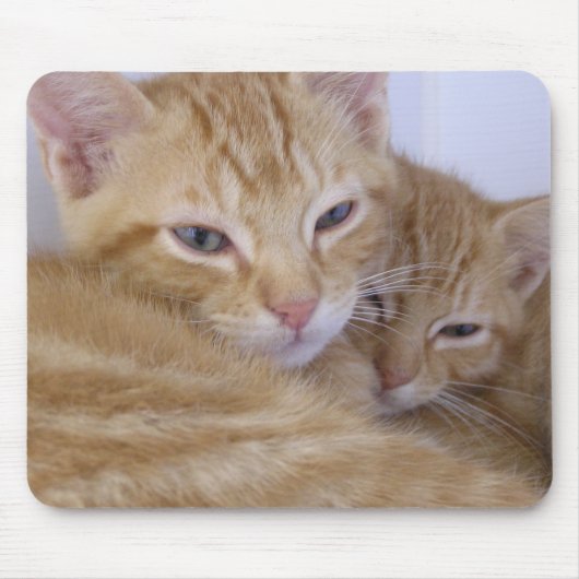 オレンジ子ネコ マウスパッド (正面)