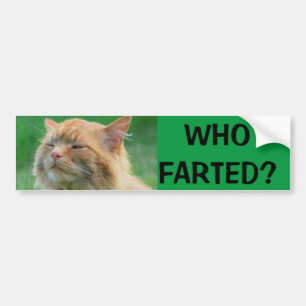 オレンジ子猫はだれが屁をしたか尋ねますか。 バンパーステッカー