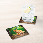 オレンジ子猫 スクエアペーパーコースター (インサイチュ)