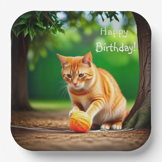 オレンジ子猫 ペーパープレート (正面)