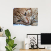 オレンジ子猫 ポスター (ホームオフィス)