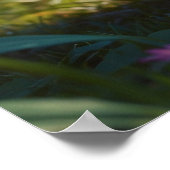 *~*オレンジ子猫AP68 5:4ふわふわな猫ネコ ポスター (角)