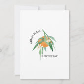 オレンジ小さなかわいこちゃん水の色ユーカリのシャワー 招待状 (裏面)