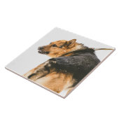 オレンジ憂うつ タイル (側面)