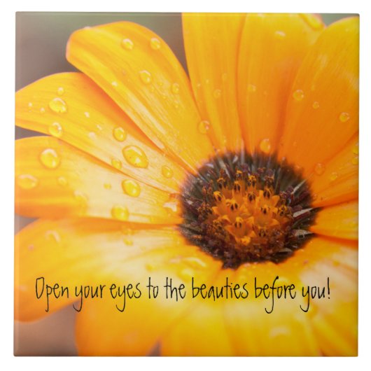 オレンジ春のフラッシュのアフリカデイジーの終わり タイル (正面)