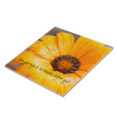 オレンジ春のフラッシュのアフリカデイジーの終わり タイル (側面)