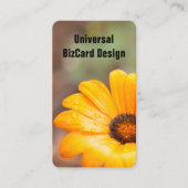 オレンジ春フラッシュアフリカデイジークローズアップ 名刺 (正面)
