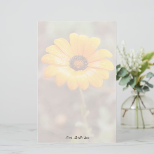 オレンジ春フラッシュアフリカデイジー写真テンプレート 便箋 (スタンド正面)