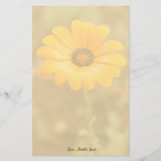 オレンジ春フラッシュアフリカデイジー写真テンプレート 便箋 (正面)