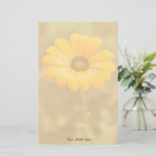 オレンジ春フラッシュアフリカデイジー写真テンプレート 便箋 (スタンド正面)