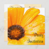 オレンジ春フラッシュアフリカデイジー写真 招待状 (正面/裏面)