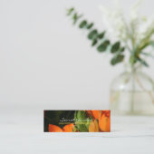 オレンジ春2 スキニー名刺 (スタンド正面)