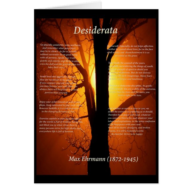 オレンジ木 (正面)