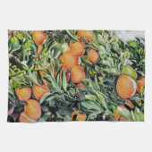 オレンジ木 キッチンタオル (横)