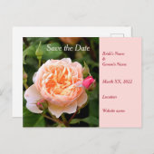 オレンジ淡い色の色のバラと芽の日付の保存 案内ポストカード (正面/裏面)