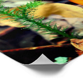 オレンジ淡い色の色の野生のキノコがクローズアップ ポスター (角)