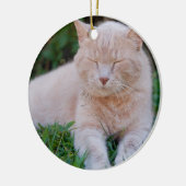 オレンジ猫のオーナメント セラミックオーナメント (左)