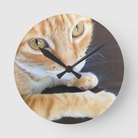 オレンジ猫のクローズアップ ラウンド壁時計 (正面)