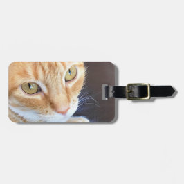 オレンジ猫のクローズアップ ラゲッジタグ