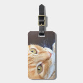 オレンジ猫のクローズアップ ラゲッジタグ (正面縦)