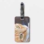 オレンジ猫のクローズアップ ラゲッジタグ (裏面縦)