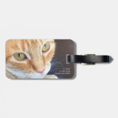 オレンジ猫のクローズアップ ラゲッジタグ (裏面横)