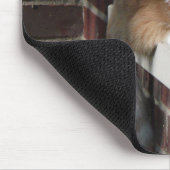 オレンジ猫 マウスパッド (コーナー)