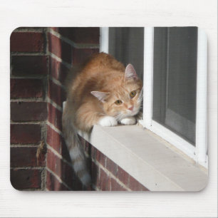 オレンジ猫 マウスパッド