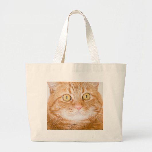オレンジ猫 ラージトートバッグ (正面)