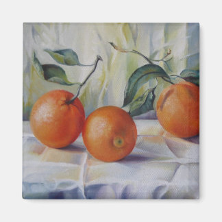 オレンジ磁石 マグネット