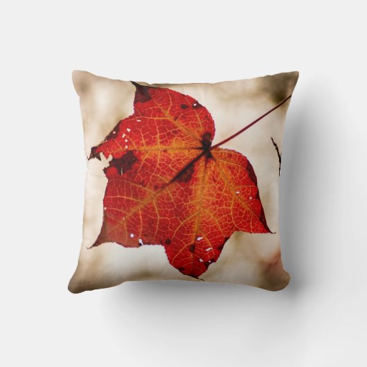 オレンジ秋葉 クッション (裏面)