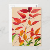 オレンジ紅葉オリジナル水彩画 ポストカード (正面/裏面)