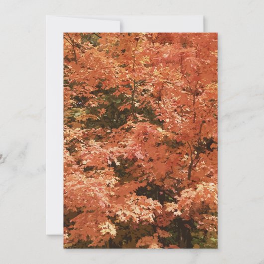 オレンジ紅葉誕生会 招待状 (裏面)