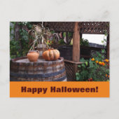 オレンジ素朴色のカボピンク ポストカード (正面)