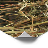 オレンジ素朴色の花付き白ミルクジュグ写真 ポスター (角)