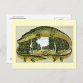 オレンジ縁どを選択するアリゲーターフロリダ州ヴィンテージ ポストカード (正面/裏面)