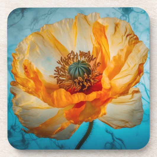 オレンジ美しい コースター (正面)