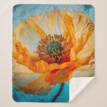 オレンジ美しい