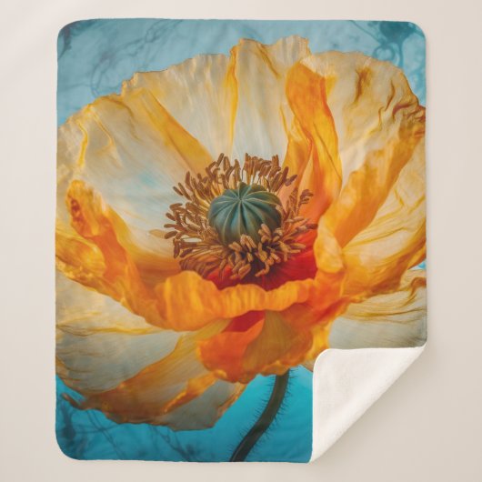 オレンジ美しい シェルパブランケット (正面)