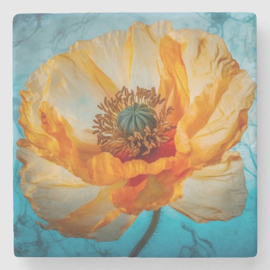 オレンジ美しい ストーンコースター (正面)