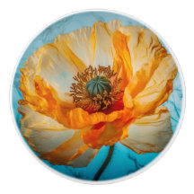 オレンジ美しい