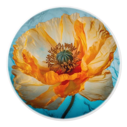 オレンジ美しい セラミックノブ (正面)