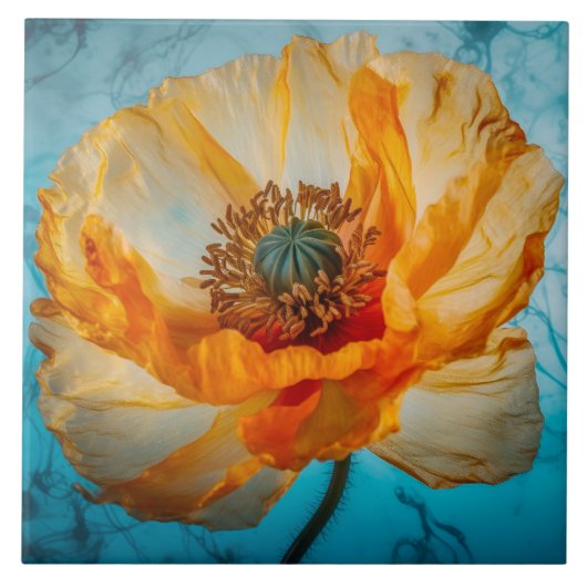 オレンジ美しい タイル (正面)