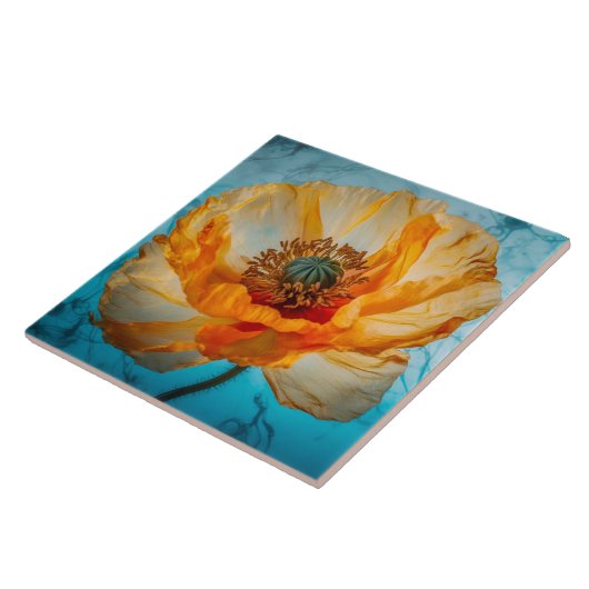 オレンジ美しい タイル (側面)