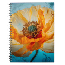 オレンジ美しい