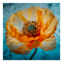 オレンジ美しい