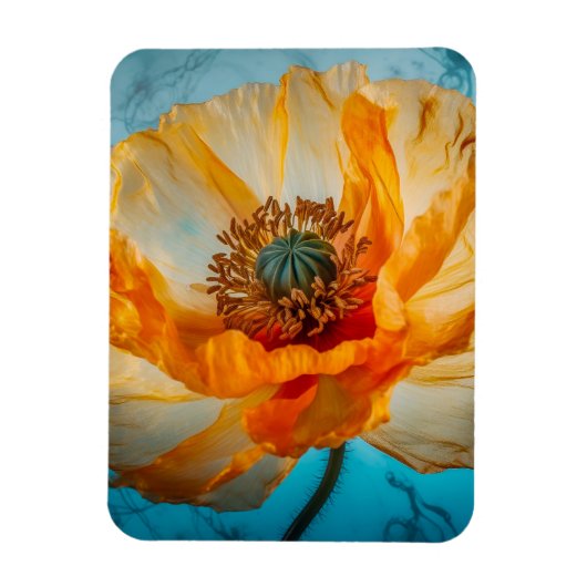 オレンジ美しい マグネット (縦)