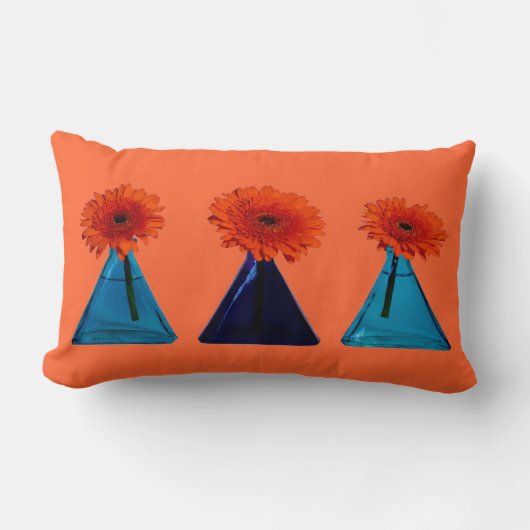 オレンジ腰神経の枕 ランバークッション (正面)