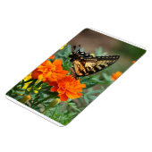 オレンジ色と黄色の花に蝶プレミアム マグネット (左側)